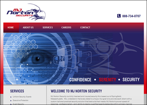 Security Website