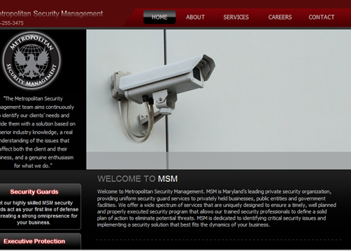 Sample Security Business Website